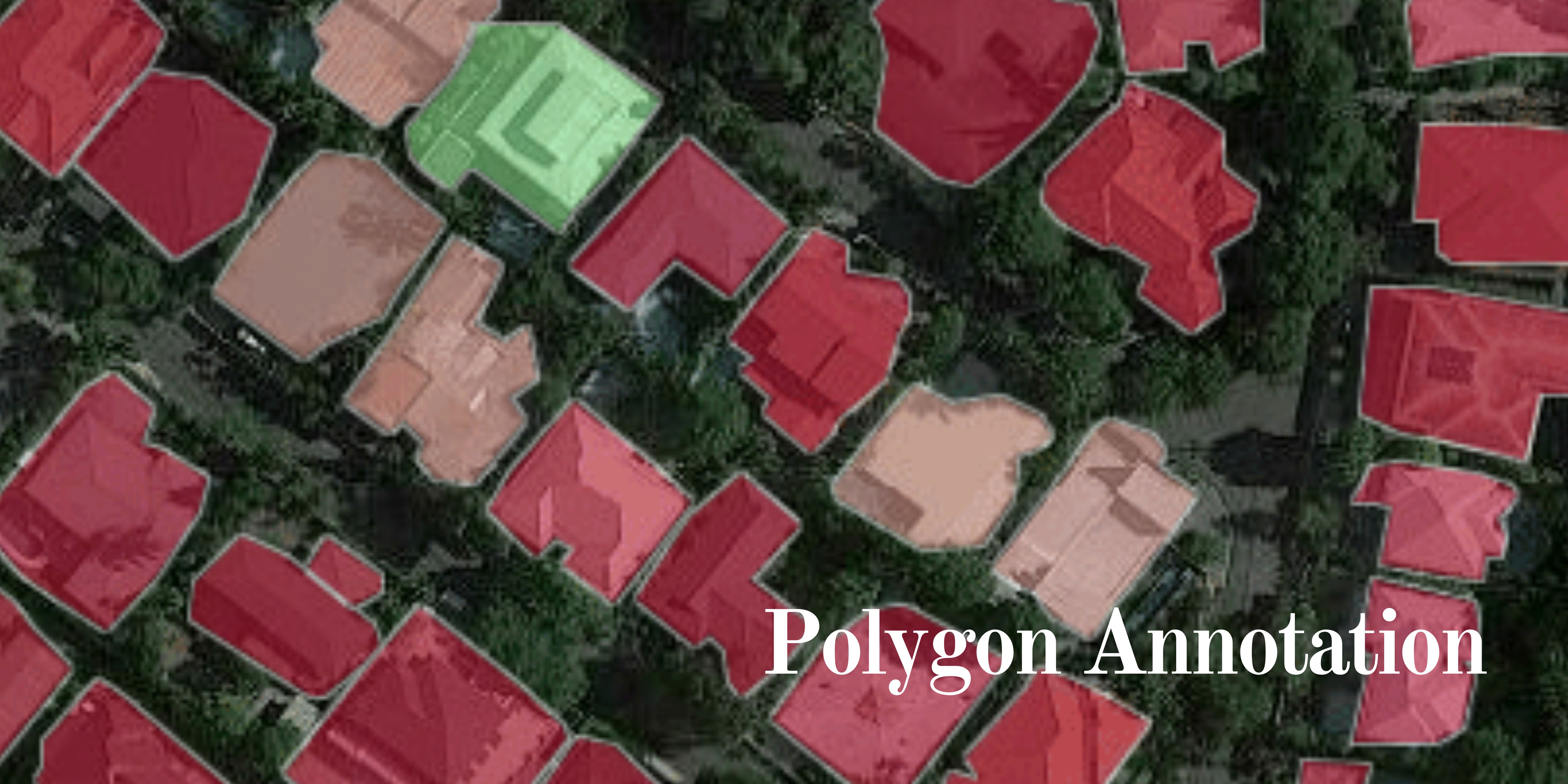 Polygon Annotation Services